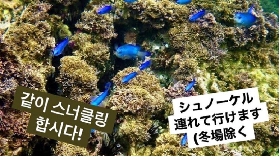 Plage Yuigahama Kamakura Esterno foto