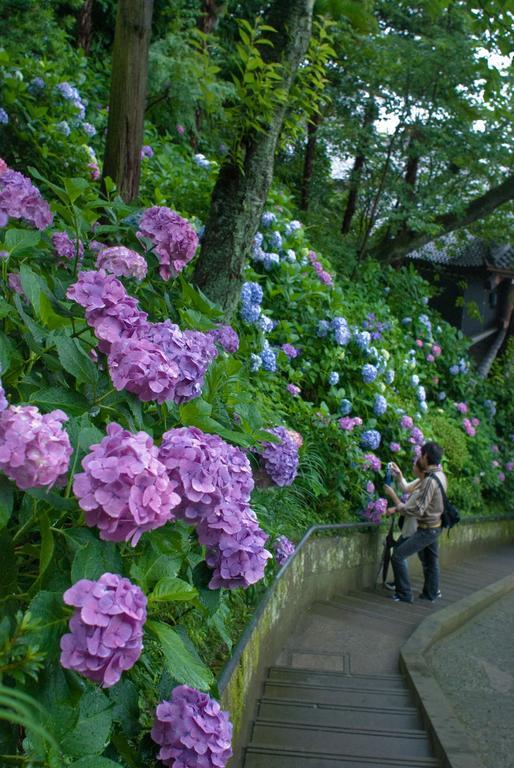Plage Yuigahama Kamakura Esterno foto